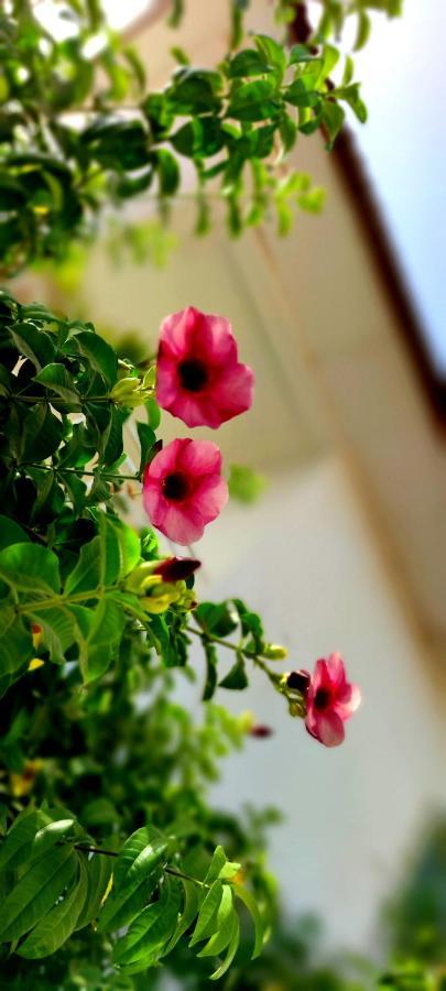 Dulaa Deema Residence Brufut Heights Tranquil Dış mekan fotoğraf